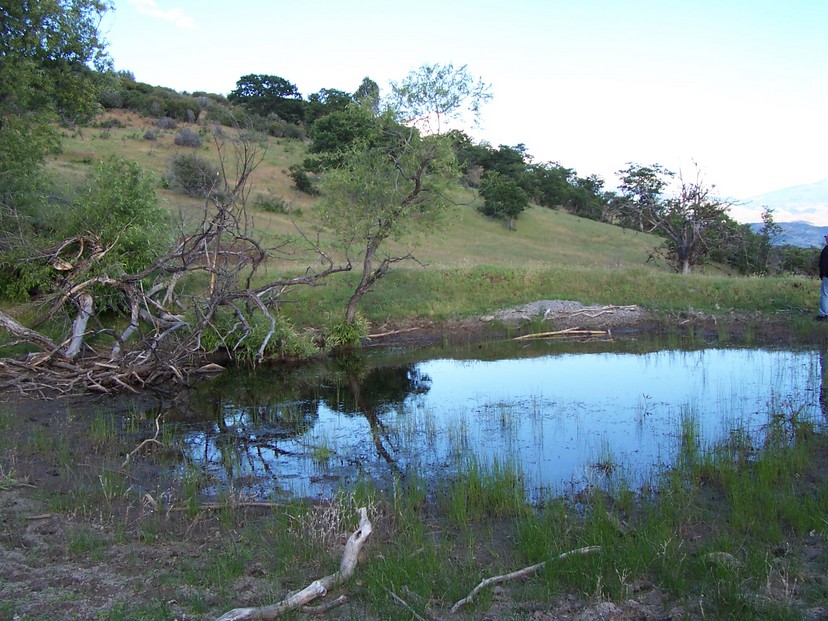 Hornbrook, CA The "Pond" photo, picture, image (California) at city