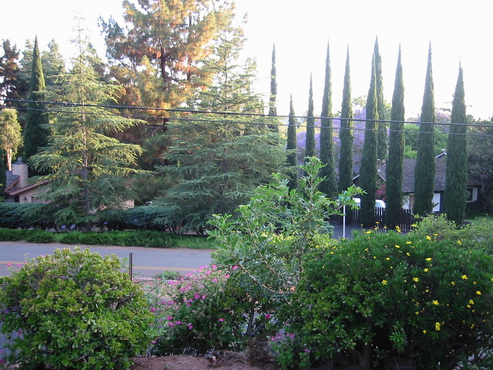 Casa de Oro-Mount Helix, CA : Mt. Helix at sunset