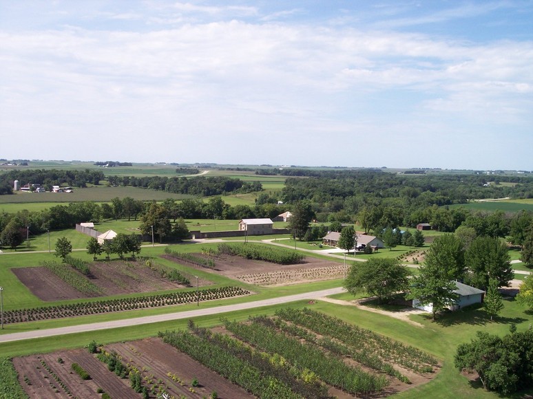 Fort Atkinson, IA: View from the water tower 2