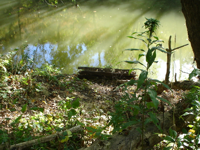 Nelsonville, OH : a picture of  a log beside the Hocking River, right behind the old park in Nelsonville, Ohio