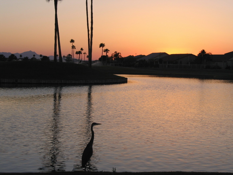 Sun Lakes, AZ: Sunset at Oakwood Country Club in Sun Lakes
