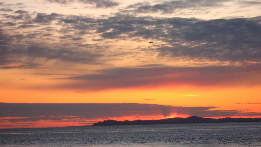 Astoria, OR : sunset