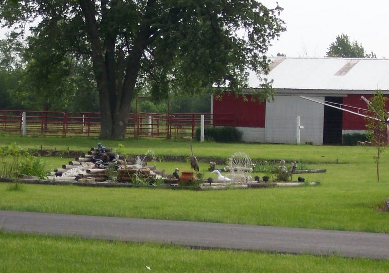 Kirklin, IN : Great Blue Heron visiting neighbors fountain, and gold fish!