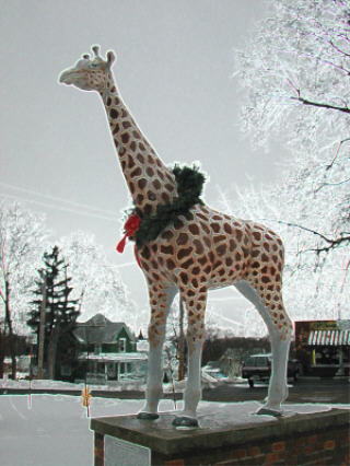 Delavan, WI : Delavan: Former Winter Home of the Circus