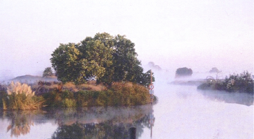 Discovery Bay, CA : Misty Morning in Discovery Bay at Kellog Creek