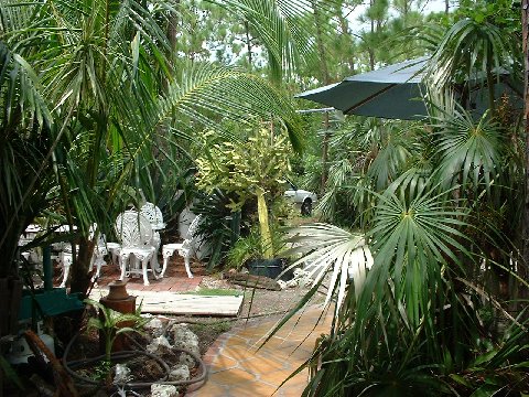Big Pine Key, FL: A slice of Paradise in Big Pine Key