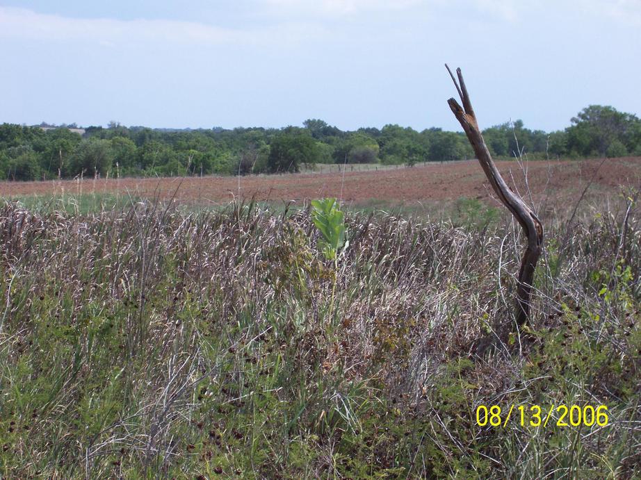 Cuba, KS : Just outside of town