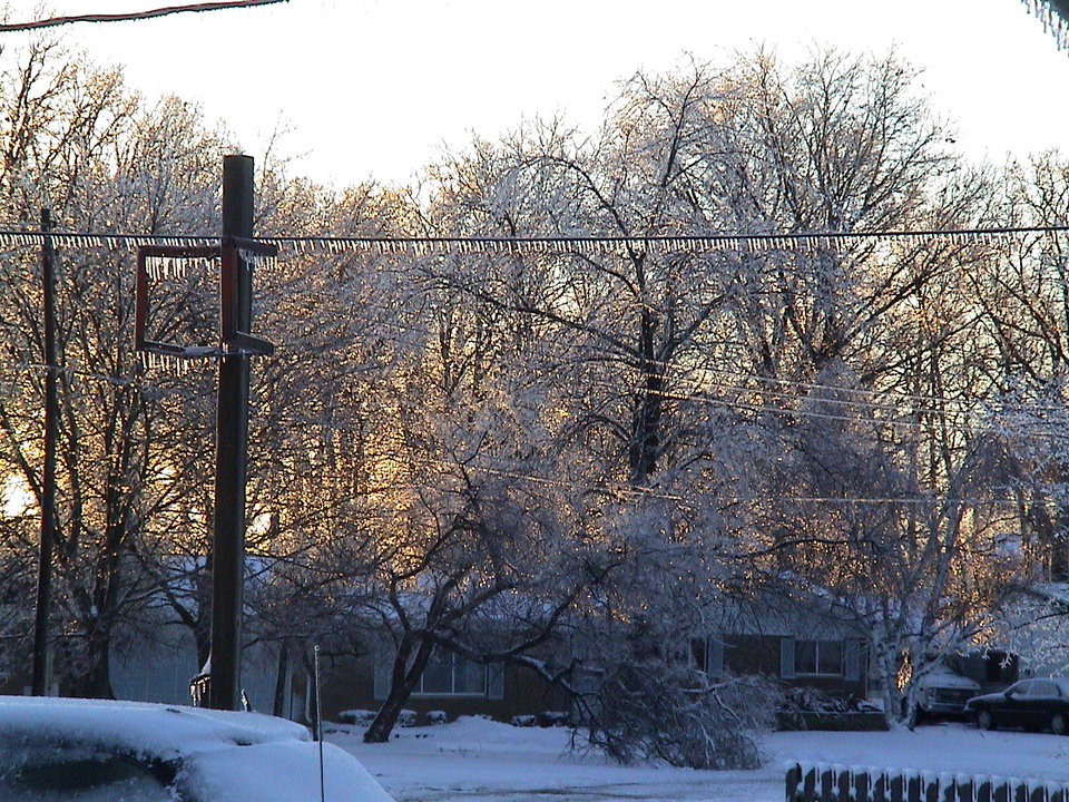 Freeland, MI: The morning after an ice storm in Freeland - 2006
