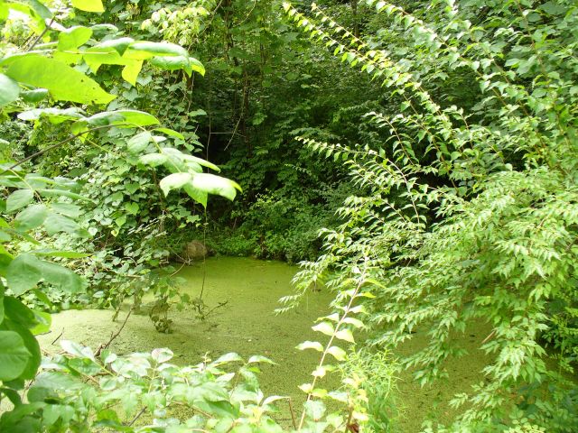 Gahanna, OH : Gahanna Creekside Park III