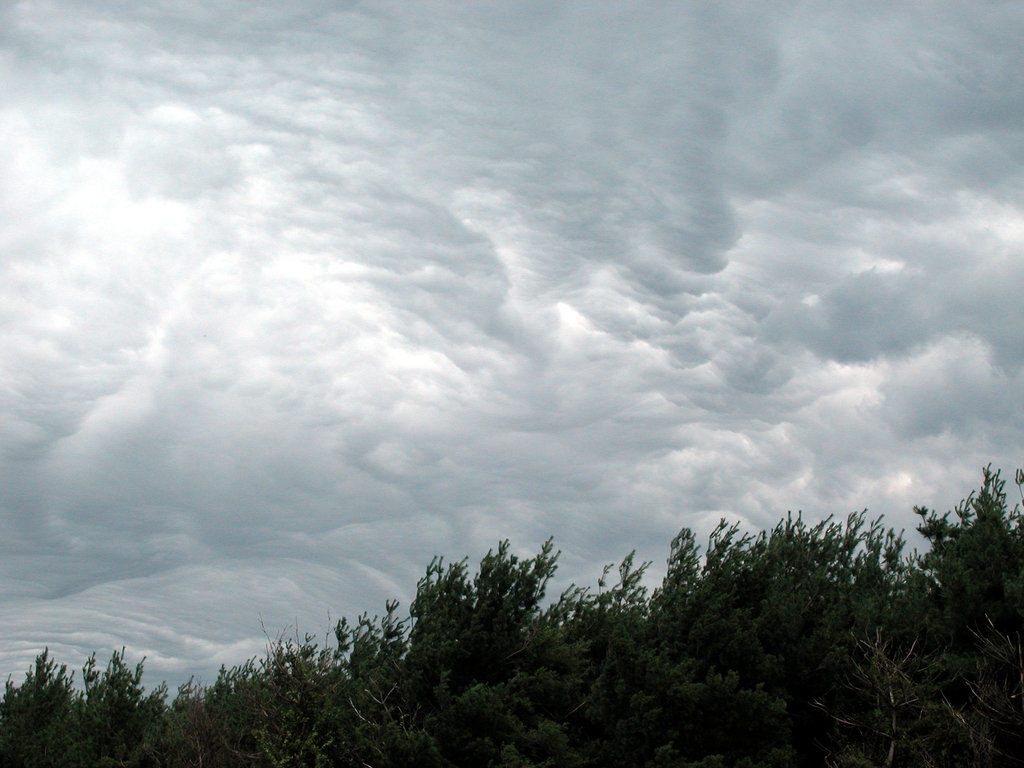 St. Joseph, MI : Summer storm brewing