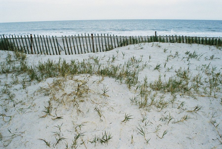 Fernandina Beach, FL : Fernandina Beach Sand Dunes