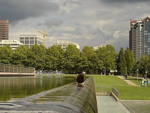 Bellevue, WA : Bellevue City Park View East, Bellevue, WA photo