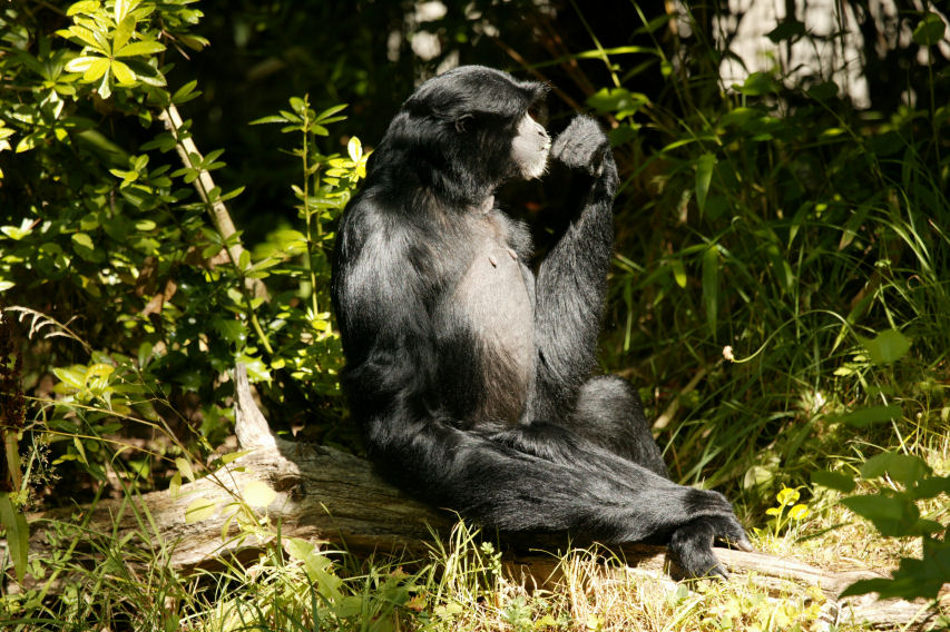 Seattle, WA : Woodland park zoo