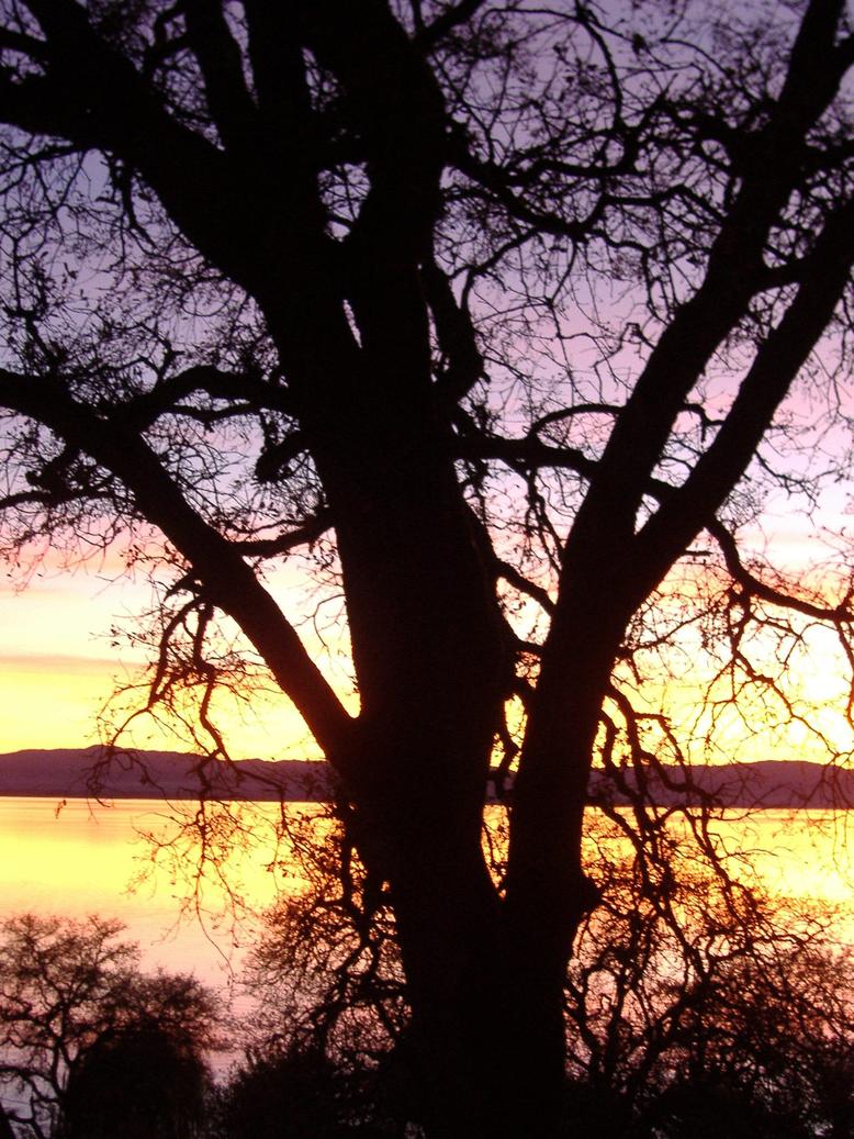 Lucerne, CA : sunset off my deck, Lucerne