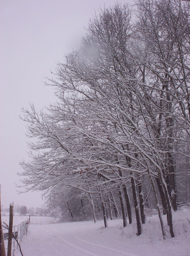 Crane, MO : winter time in crane