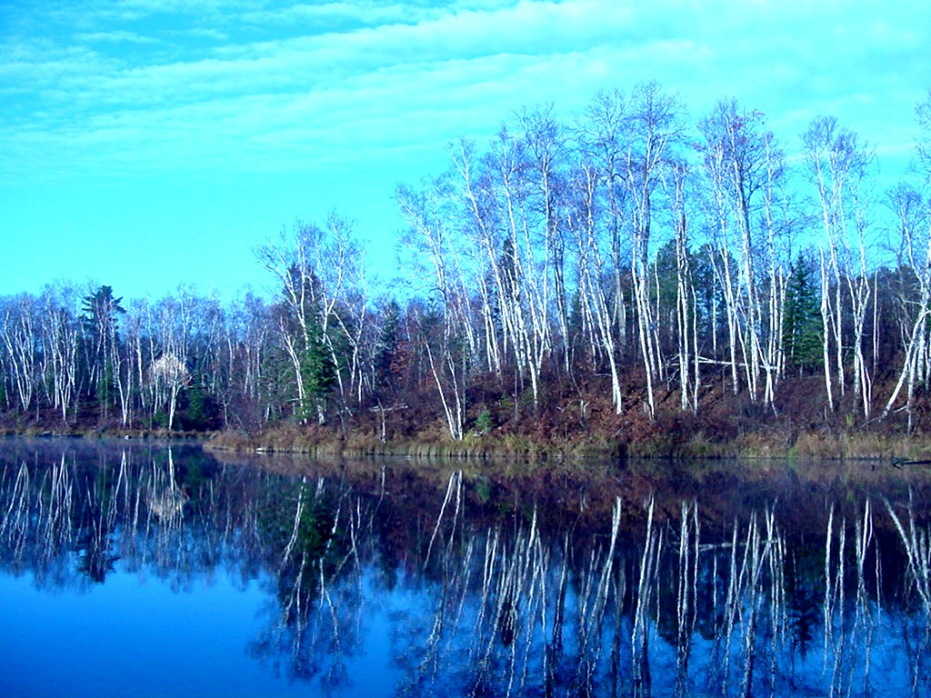 Center City, MN "Birch Tree Reflection" Small Lake in Grand Rapids