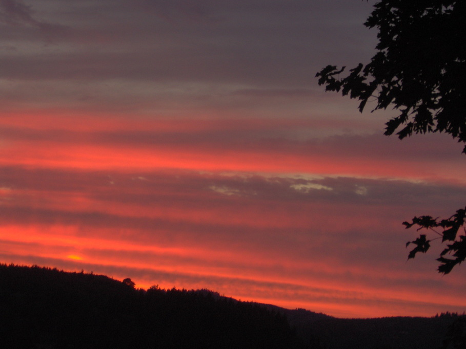 St. Helens, OR : Evening Sunset