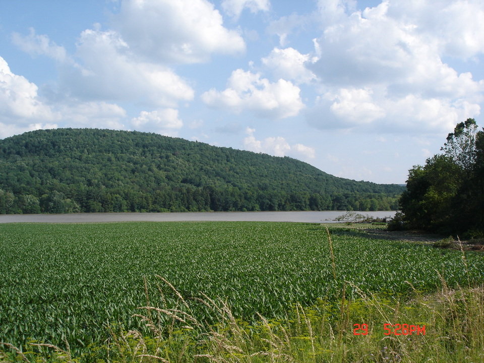 Sidney, NY : off route 8