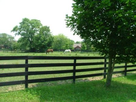 Westfield, IN: The Village Farms Estate Lots with Mini Farm and Horses