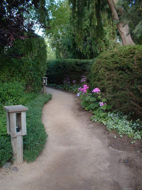 Cambria, CA: Cambria Pines, Gardens