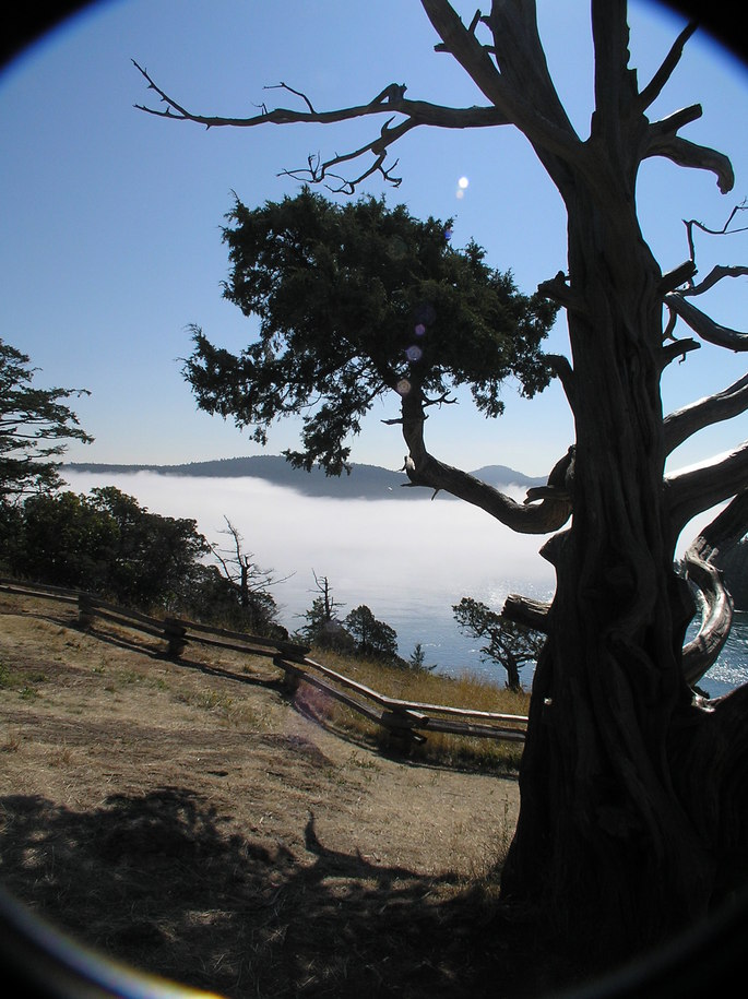 Anacortes, WA : Foggy morning.....