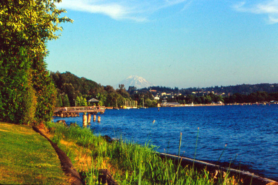 Renton, WA: Coulon Beach Park, Renton, WA