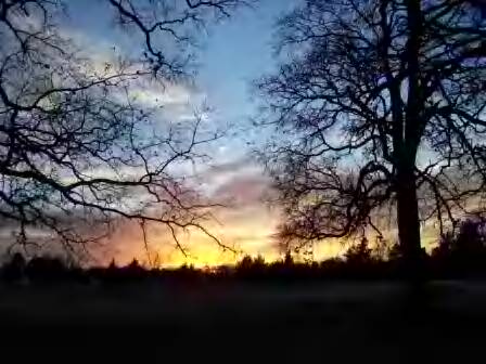 Wills Point, TX : Sunsetting in Wills Point, Texas