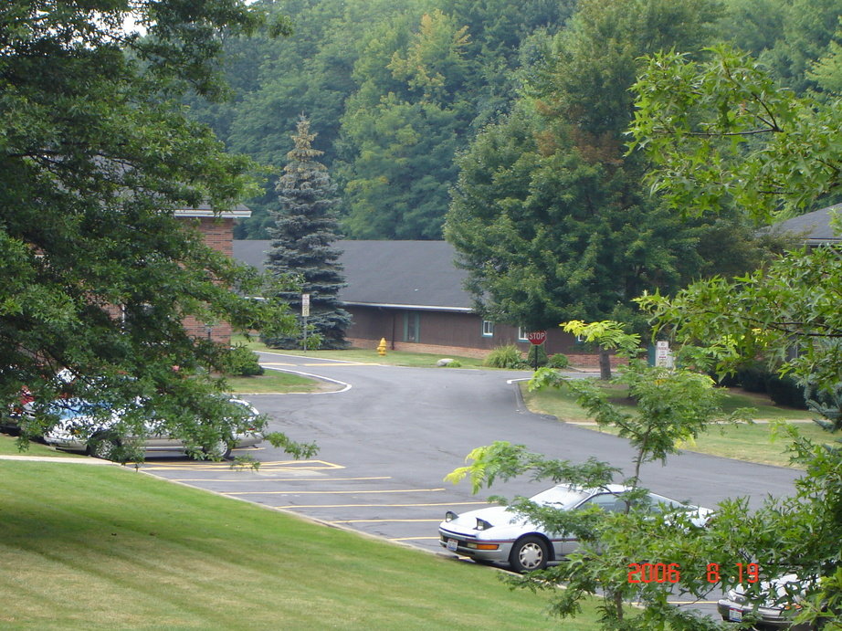 Solon, OH : A typical view out of my Solon Park Apartment