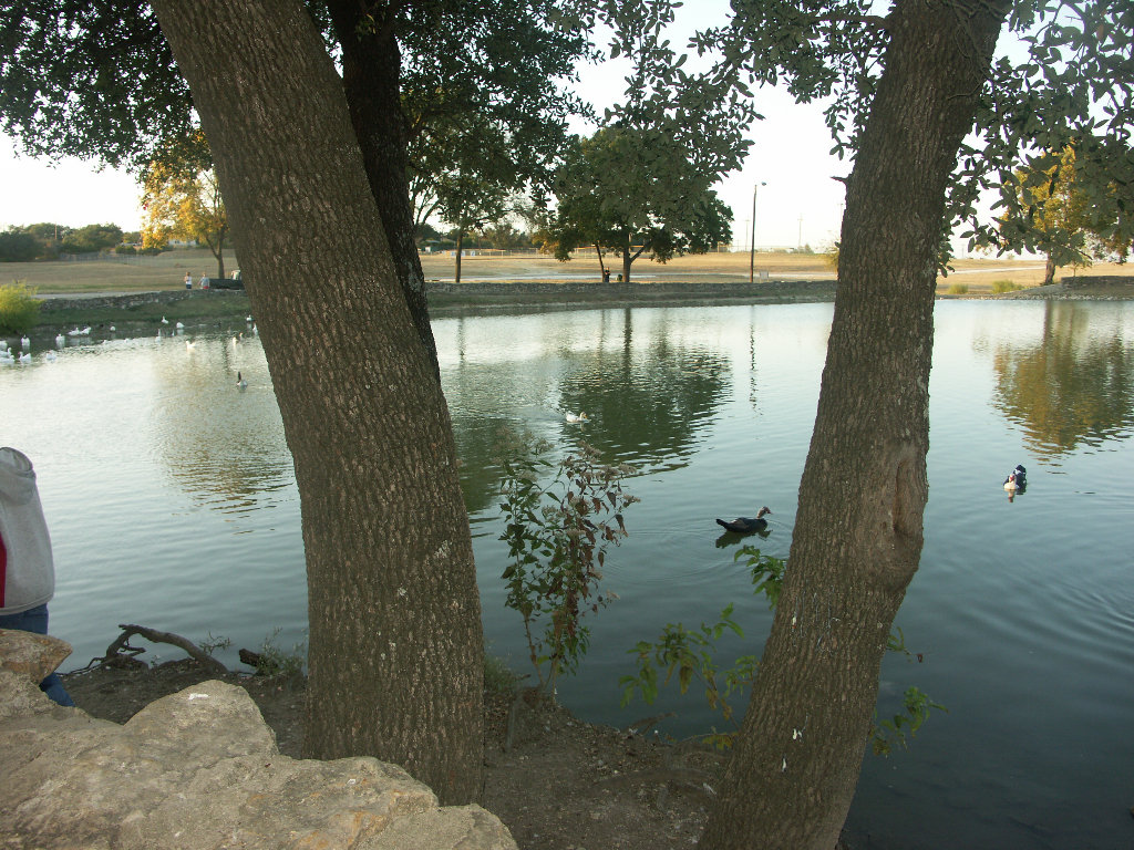 Copperas Cove, TX: Copperas Cove City Park Duck Pond