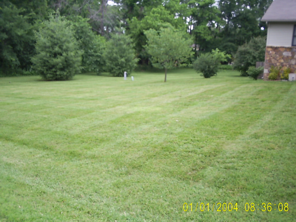 Dexter, MO: This is a pic of one of the yards that we take care of in Dexter