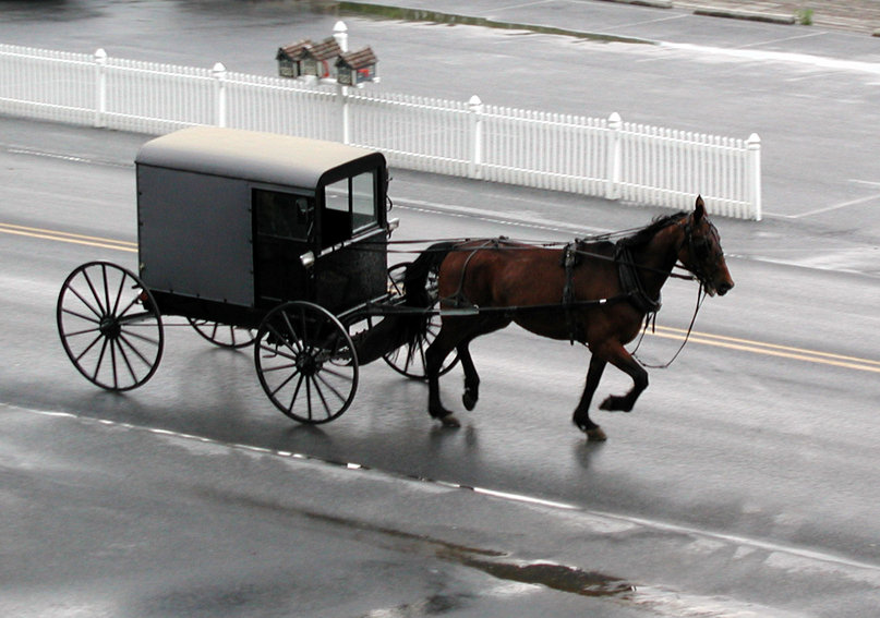 Lancaster, PA: Amish Buggy - "Not far from Home"