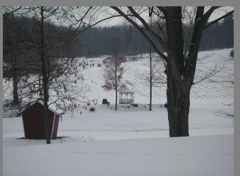 Greenwich, NY : a wintry farm landscape in Greenwich NY