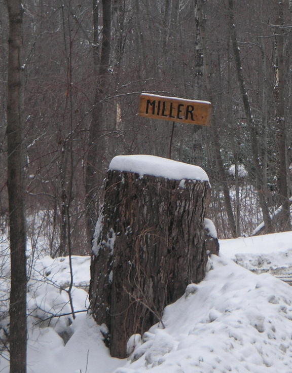Argyle, NY : a home made street sign in a winter land scape picture