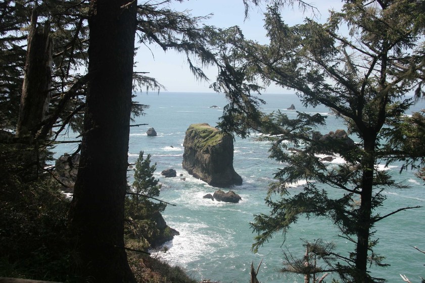 Brookings, OR : Serenity at the Oregon Coast