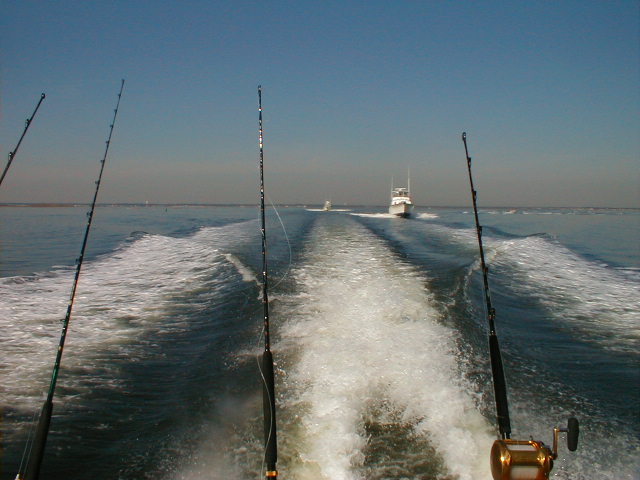 Toms River, NJ: Leaving Toms River for a perfect day of fishing