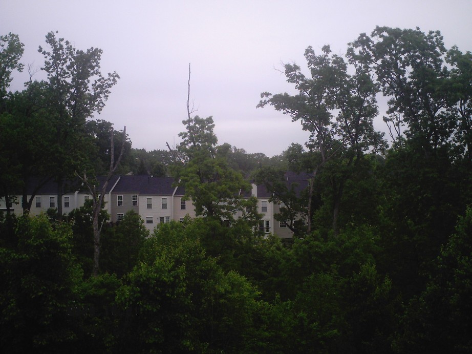 Woodbridge, VA : back of my house 2,(carolyn forest ,woodbridge,va,22191)