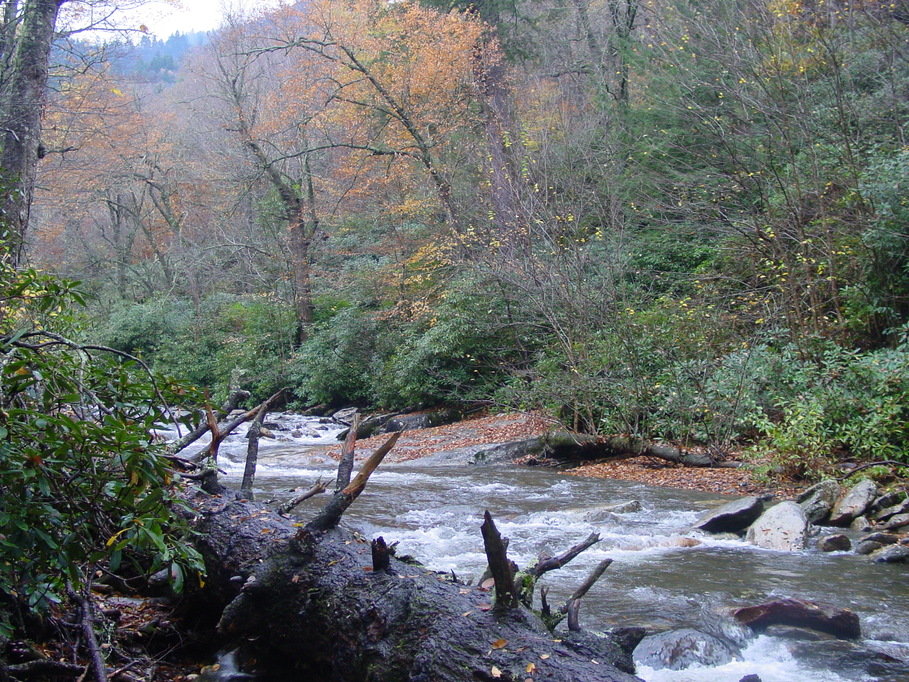 Gatlinburg, TN Fall colors photo, picture, image (Tennessee) at city