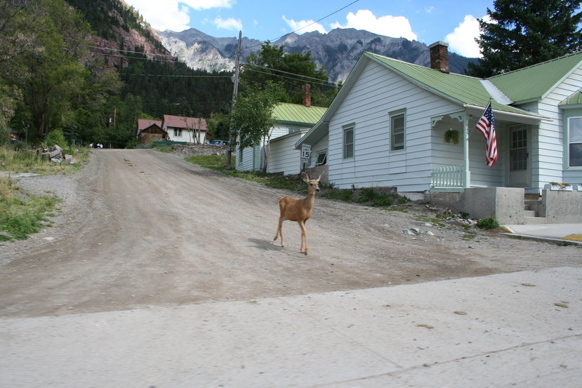 Telluride, CO : Telluride, CO