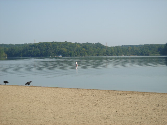 Oxford, OH : The beach