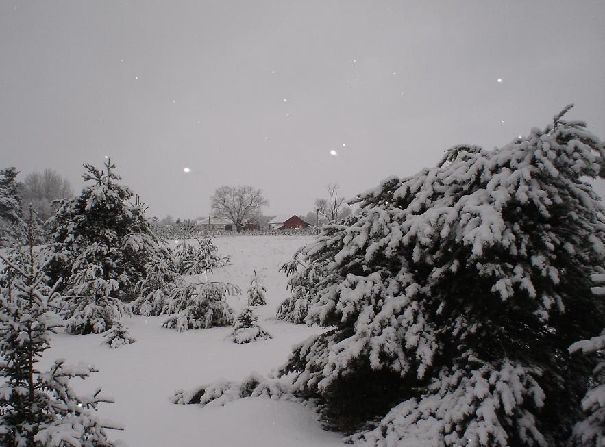 Cheboygan, MI: Farmhouse In Snow