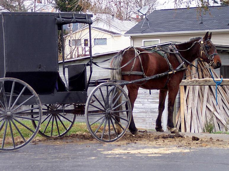 Fredericktown, OH : Buggy and Horse waiting at the grocery store in the parking lot.