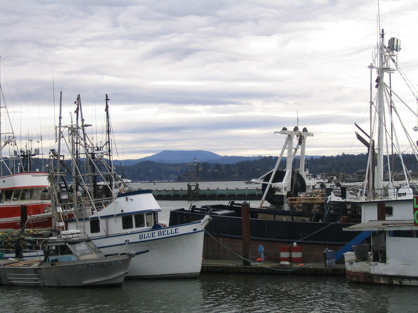 Newport, OR : Boats at Bay