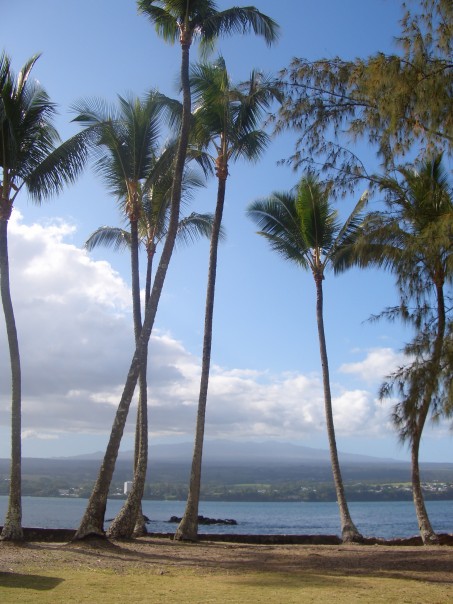 Hilo, HI : view of Mauna Kea from Coconut Island