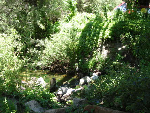 Pismo Beach, CA : Creek in Pismo