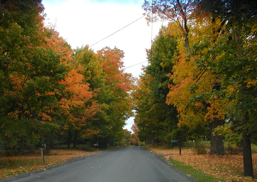 Trumansburg, NY : South Street, Tburg in Autumn