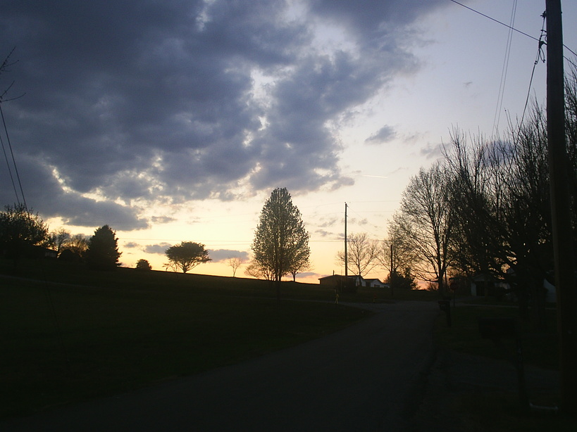 White Pine, TN : Reynolds Street  