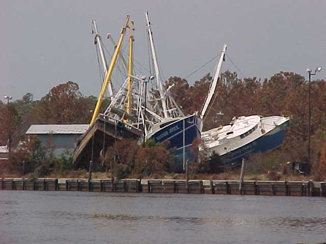 File:Katrina Bayou La Batre 2005 ship in trees.jpg