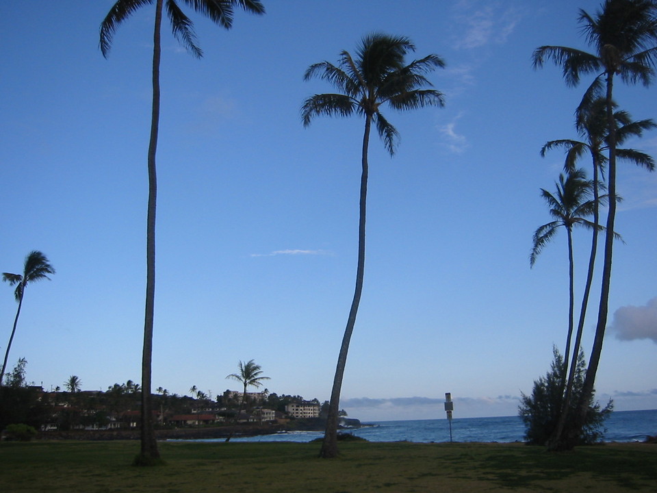 Poipu, HI : Poipu Beach