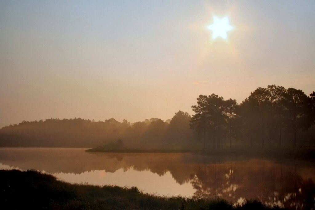 Screven, GA: Lake Lindsay Grace Early Morning Fog