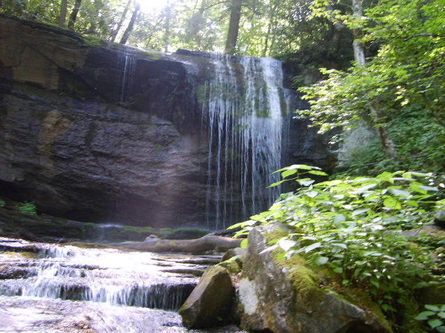 Spruce Pine, NC : Grassy Creek Falls